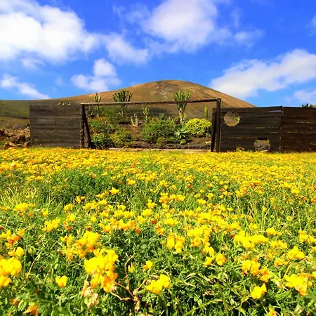 Jurte - Traumhafter Meerblick, Beheizter Pool, Sauna, Billiard, Tischtennis, Garten Lejlighed *