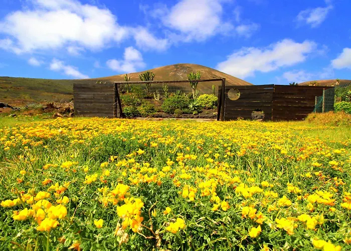 Jurte - Traumhafter Meerblick, Beheizter Pool, Sauna, Billiard, Tischtennis, Garten Apartament *